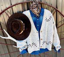 Load image into Gallery viewer, Horsing Around Sweater