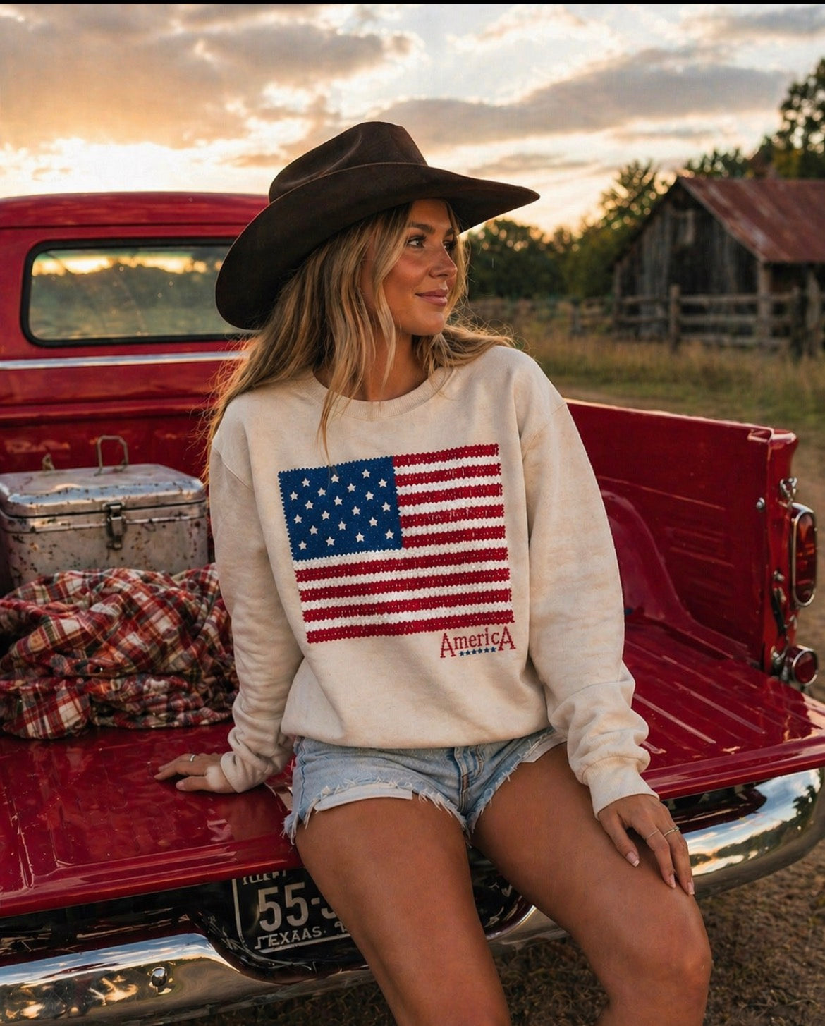 America Sweatshirt