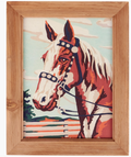 American Paint Framed Art