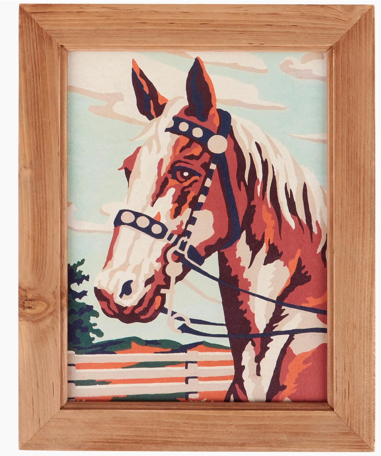 American Paint Framed Art