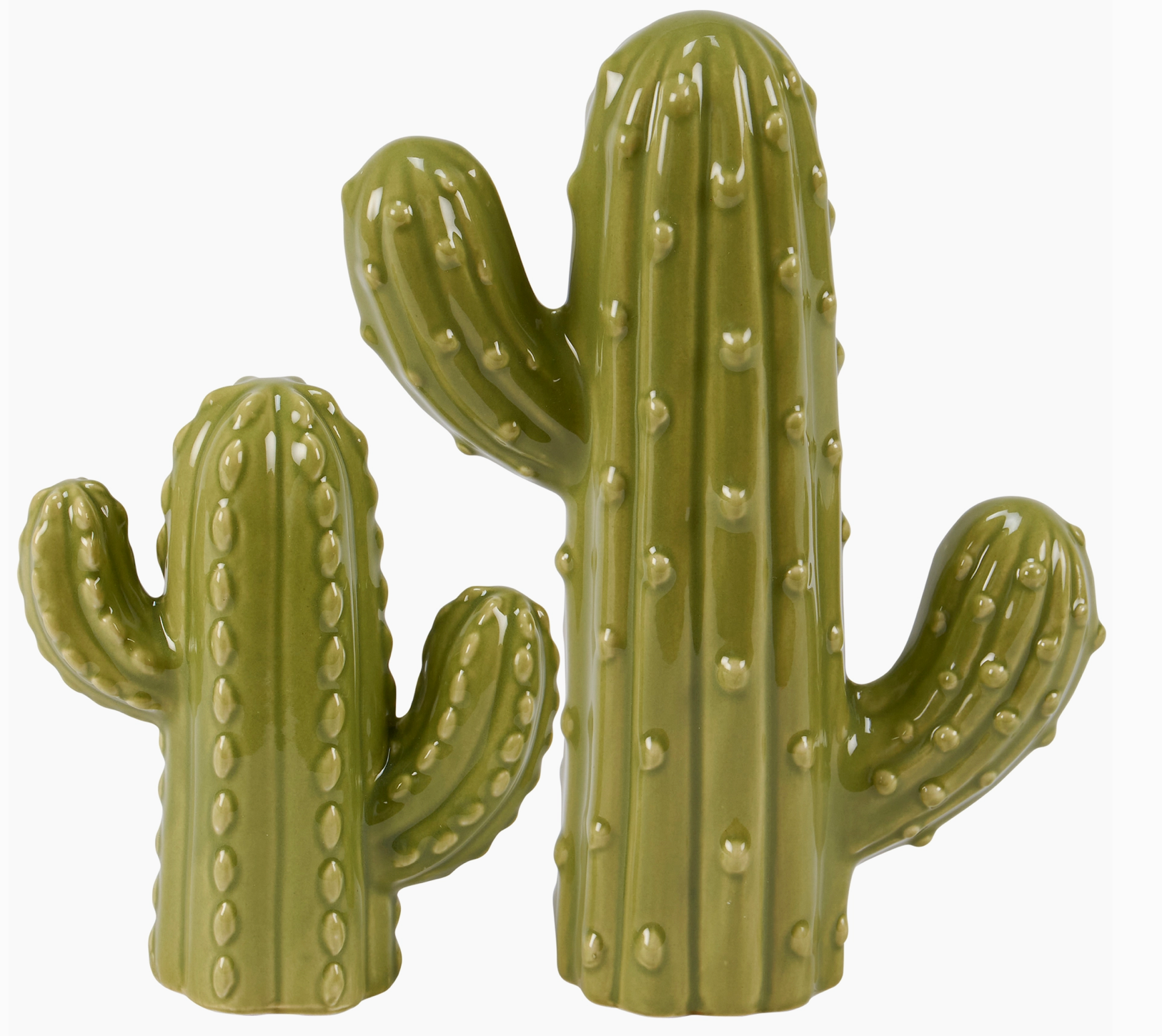 Saguaro Cacti Sitter Set
