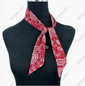 Red Bandana Twilly